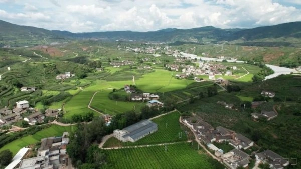 赵正会：从打工妹到电商带头人的逆袭之路插图1