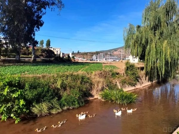 会念“致富经”的养兔人罗鸿昌插图