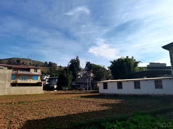 会念“致富经”的养兔人罗鸿昌插图3