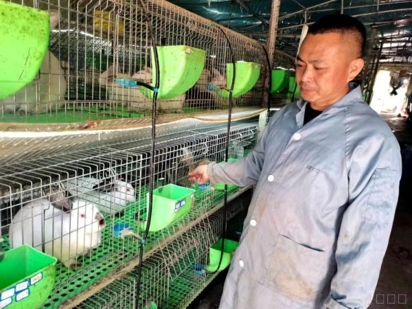 会念“致富经”的养兔人罗鸿昌插图1