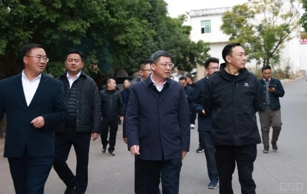 环江红深入姜州镇、金江街道调研乡村振兴示范村创建与产业园区运营工作插图