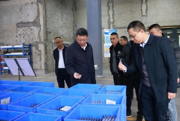 环江红深入姜州镇、金江街道调研乡村振兴示范村创建与产业园区运营工作插图2