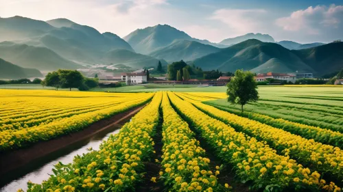 会东县宏丰种植农民专业合作社联系方式（会东县宏丰种植介绍）？插图1