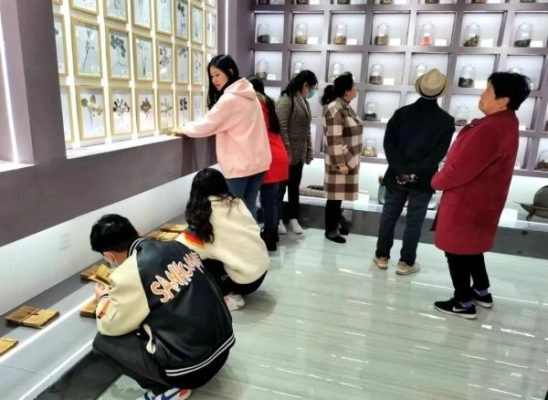 会东县:中医药康养与文化传承的和谐共生-会东网