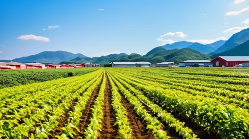 会东美华农业有限公司做什么的（美华农业业务介绍）？插图2