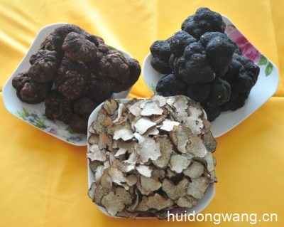 寻味会东·共飨珍馐:2023年冬季暖阳凉山游系列活动插图1 寻味会东·共飨珍馐:2023年冬季暖阳凉山游系列活动插图1