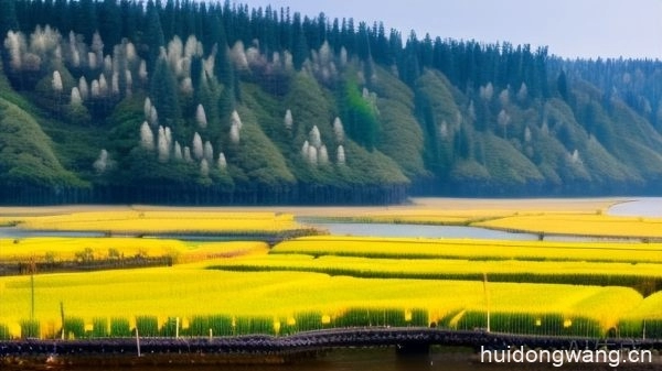 会东中能达兴农业发展有限公司:助力农业现代化打造优质农产品-会东网