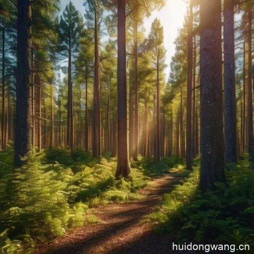 会东县硕丰农业开发有限公司业务（硕丰农业开发电话）插图1