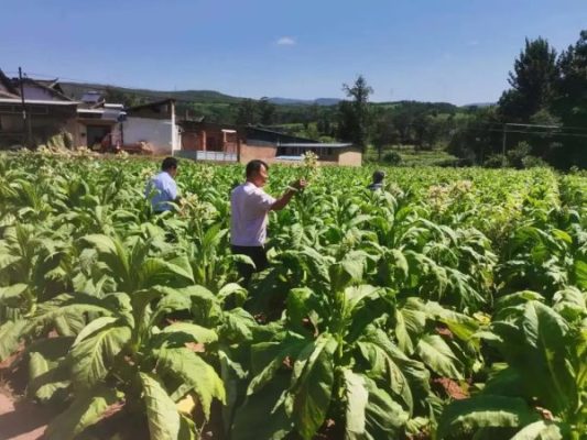 会东县平均工资标准（会东县工资怎么样）？-会东网