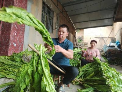 会东县土特产(会东县特色农产品)?-会东网