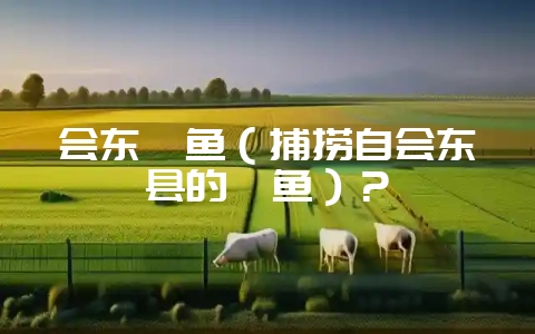 会东鲹鱼（捕捞自会东县的鲹鱼）？-会东网