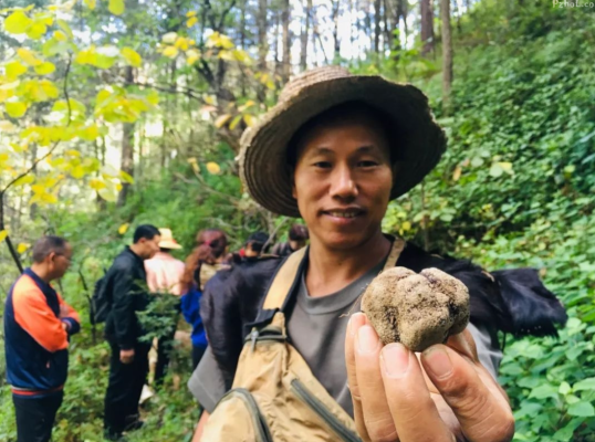 会东地理标志性特产有哪些(探索会东地理标志性的特产)?-会东网