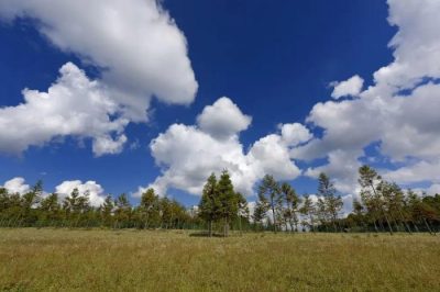 会东旅游景点有哪些地方(会东旅游必去的景点地点)?-会东网