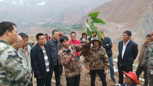 川滇明珠发展成绩介绍（会东县2023年发展成果）？插图1