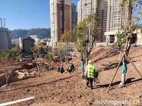 会东鱼山音乐广场建设项目（鱼山音乐广场建设进展）？-会东网