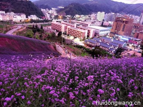 会东县城有哪些好玩的（会东好玩的地方推荐）？插图