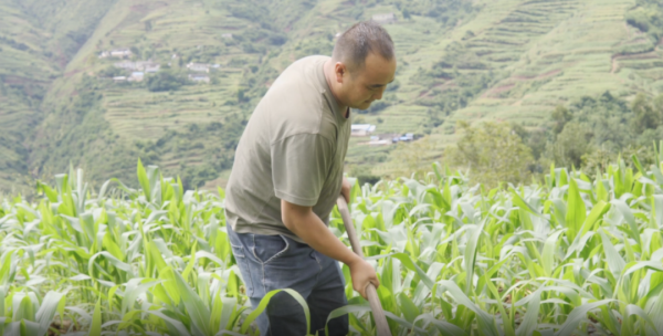 会东gdp2021(凉山会东经济如何)?-会东网