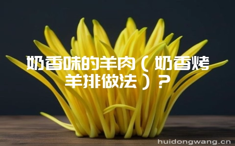 奶香味的羊肉（奶香烤羊排做法）？-会东网