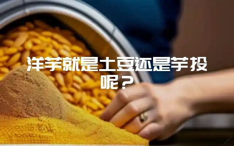 洋芋就是土豆还是芋头呢？-会东网