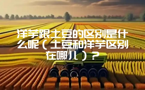 洋芋跟土豆的区别是什么呢（土豆和洋芋区别在哪儿）？-会东网