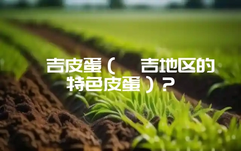 嘎吉皮蛋(嘎吉地区的特色皮蛋)?-会东网