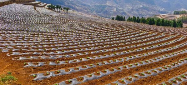 会东土地拍卖:市场动态与投资机会-会东网