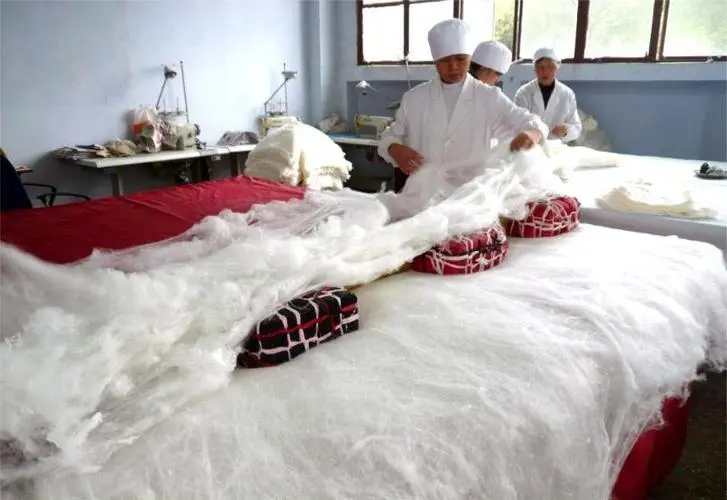 会东蚕丝（会东县的蚕丝制品介绍）？插图2