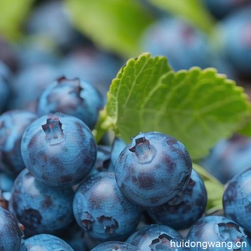 会东县特产水果(会东县的特产水果有哪些)?插图1 会东县特产水果(会东县的特产水果有哪些)?插图1