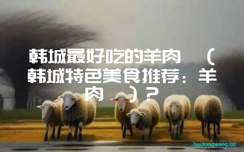 韩城最好吃的羊肉痧(韩城特色美食推荐:羊肉痧)?-会东网