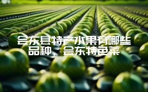 会东县特产水果有哪些品种,会东特色菜-会东网