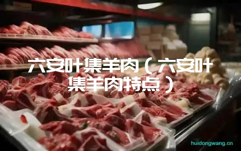 六安叶集羊肉(六安叶集羊肉特点)-会东网