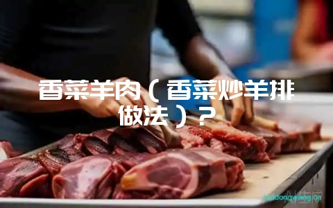 香菜羊肉(香菜炒羊排做法)?插图 香菜羊肉(香菜炒羊排做法)?插图