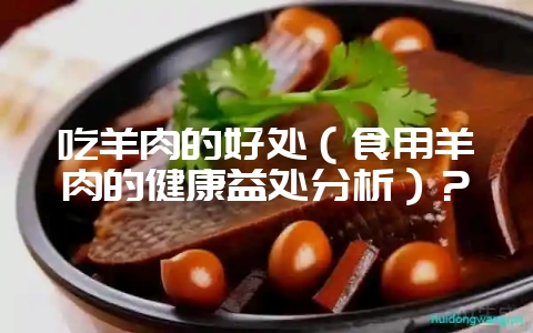 吃羊肉的好处（食用羊肉的健康益处分析）？-会东网