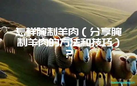 怎样腌制羊肉（分享腌制羊肉的方法和技巧）？-会东网