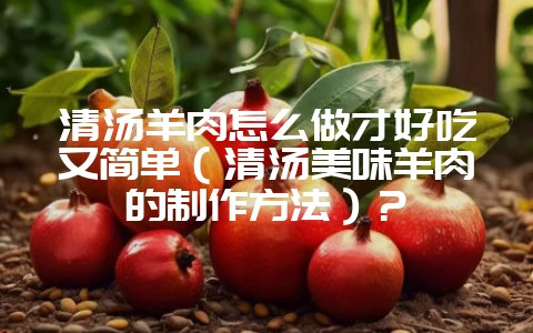 清汤羊肉怎么做才好吃又简单(清汤美味羊肉的制作方法)?-会东网