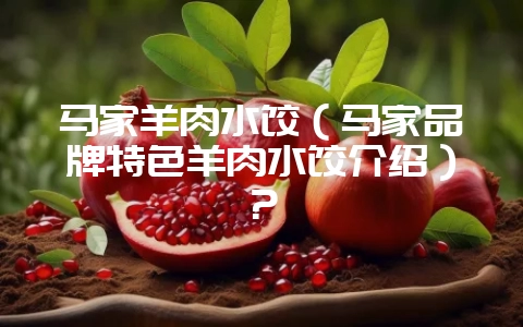 马家羊肉水饺(马家品牌特色羊肉水饺介绍)?插图 马家羊肉水饺(马家品牌特色羊肉水饺介绍)?插图