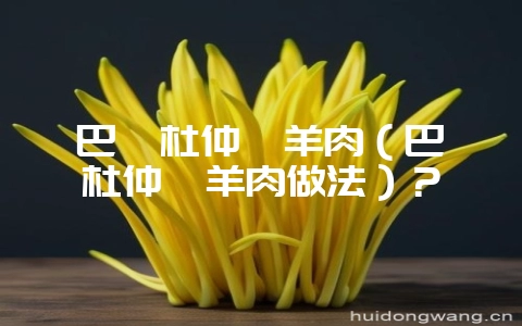 巴戟杜仲煲羊肉(巴戟杜仲煲羊肉做法)?-会东网