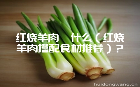 红烧羊肉炖什么(红烧羊肉搭配食材推荐)?-会东网