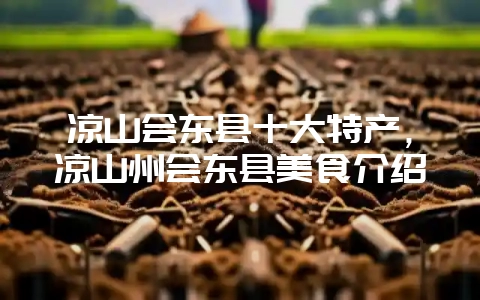 凉山会东县十大特产,凉山州会东县美食介绍-会东网