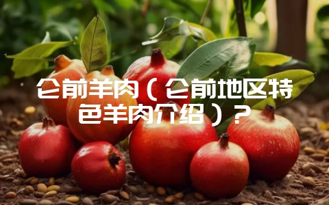 仑前羊肉(仑前地区特色羊肉介绍)?-会东网