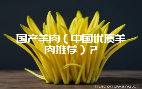 国产羊肉(中国优质羊肉推荐)?-会东网