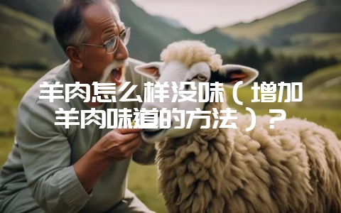 羊肉怎么样没味（增加羊肉味道的方法）？-会东网