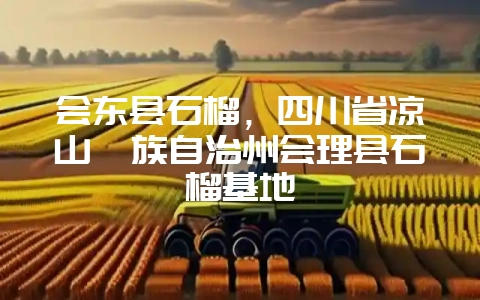 图片[1]-会东县石榴，四川省凉山彝族自治州会理县石榴基地-会东网