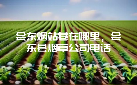 会东烟站巷在哪里,会东县烟草公司电话-会东网