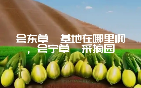 会东草莓基地在哪里啊,会宁草莓采摘园-会东网