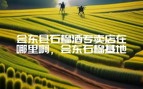 会东县石榴酒专卖店在哪里啊,会东石榴基地-会东网