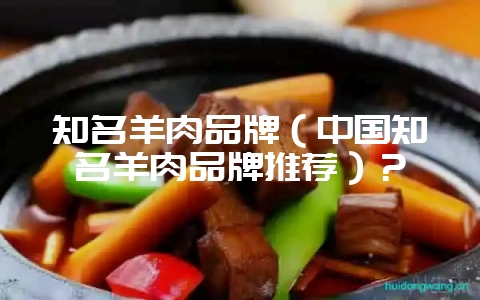 知名羊肉品牌（中国知名羊肉品牌推荐）？-会东网