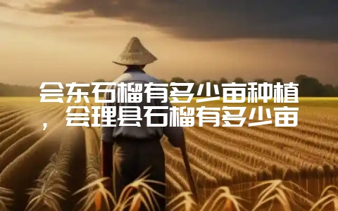 会东石榴有多少亩种植，会理县石榴有多少亩-会东网