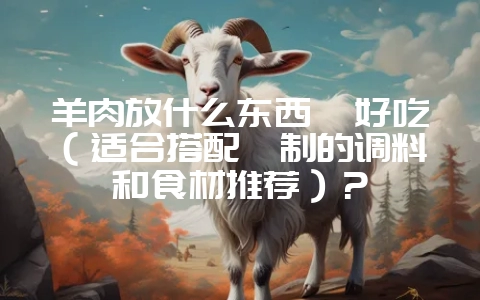 羊肉放什么东西炖好吃(适合搭配炖制的调料和食材推荐)?-会东网