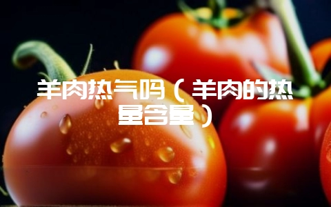 羊肉热气吗(羊肉的热量含量)-会东网